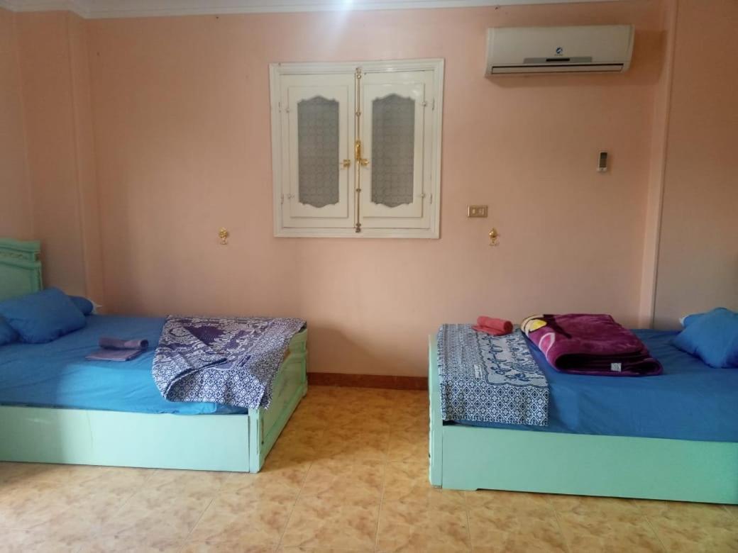 Go Inn Backpackers Aswan Bagian luar foto