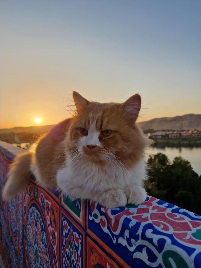 Go Inn Backpackers Aswan Bagian luar foto