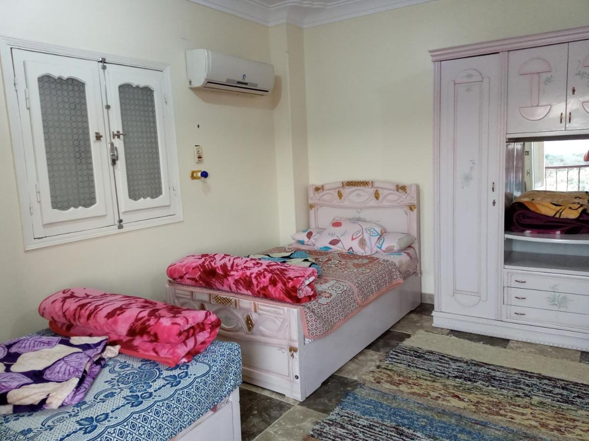 Go Inn Backpackers Aswan Bagian luar foto
